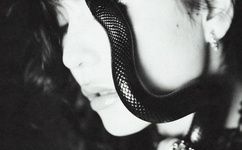 欧美一级久久久久久久大